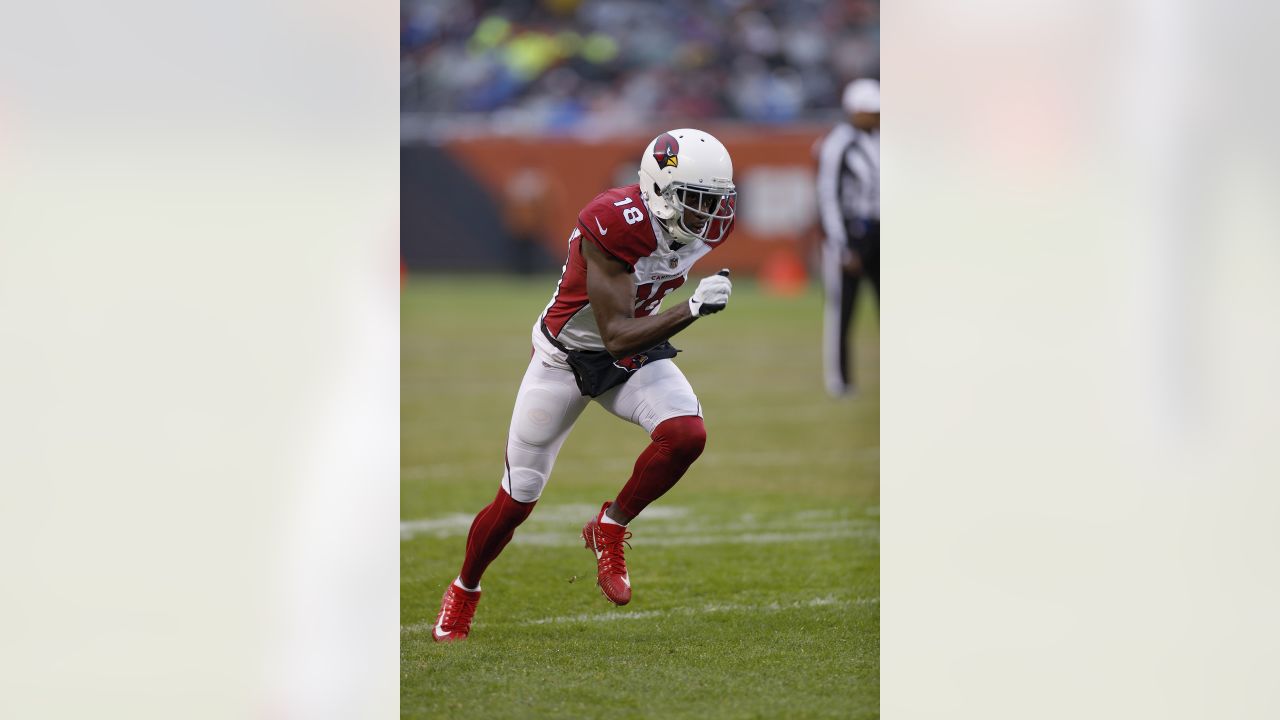 Cardinals continue to shop WR Andy Isabella