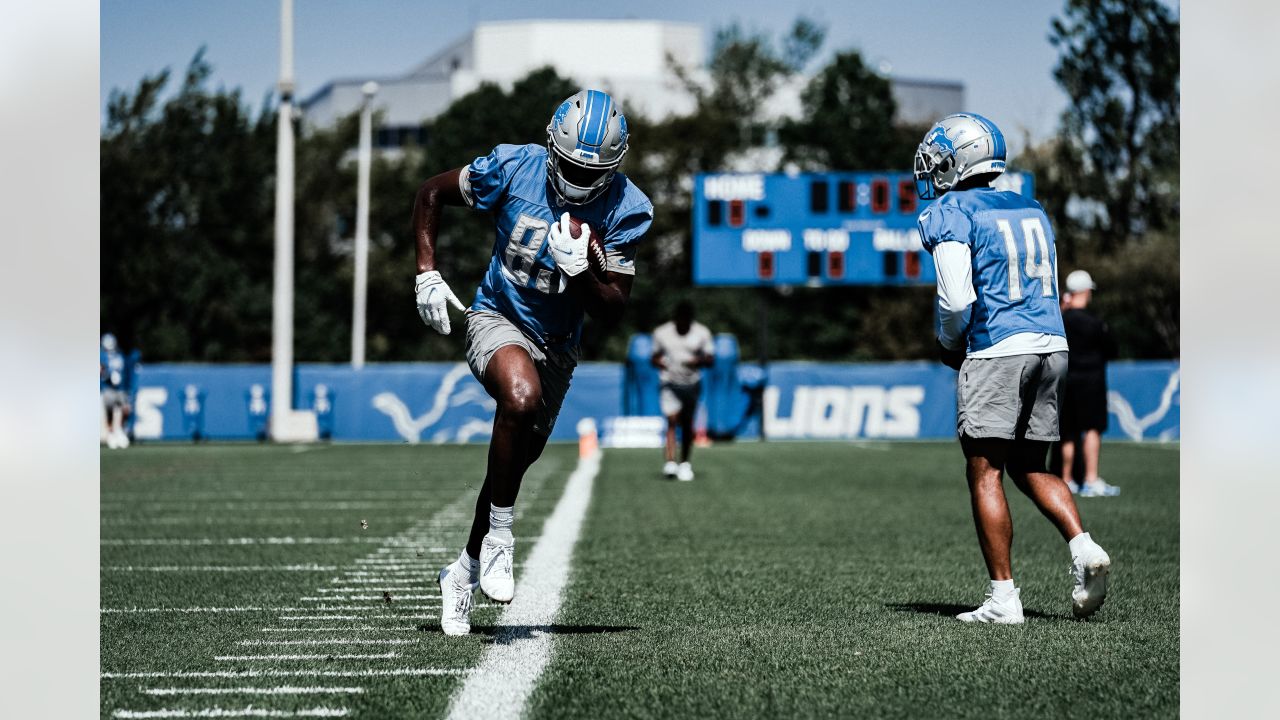 Detroit Lions on X: For Women's History Month, the #Lions honor the women  who have carved out their respective spaces in the world of sports. Join us  in recognizing and celebrating the