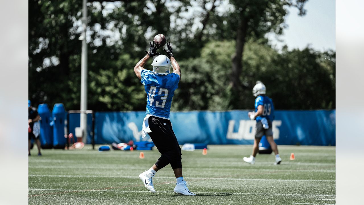 Detroit Lions 2022 training camp preview: Tight end