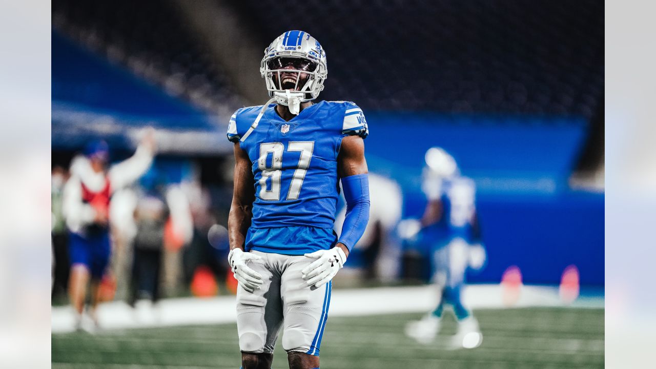 Meet the Detroit Lions roster