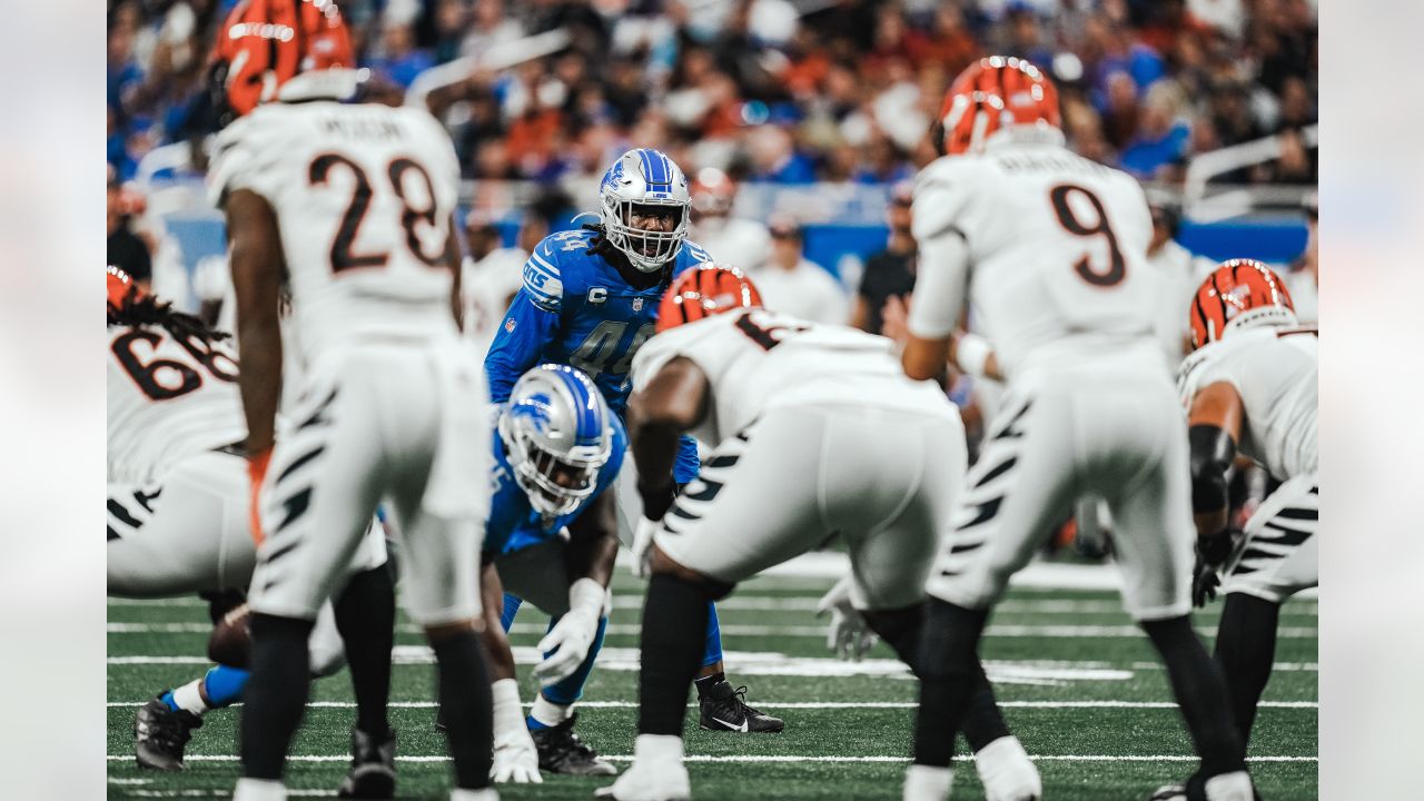 One for the road: Detroit Lions vs. Cincinnati Bengals - Pride Of Detroit