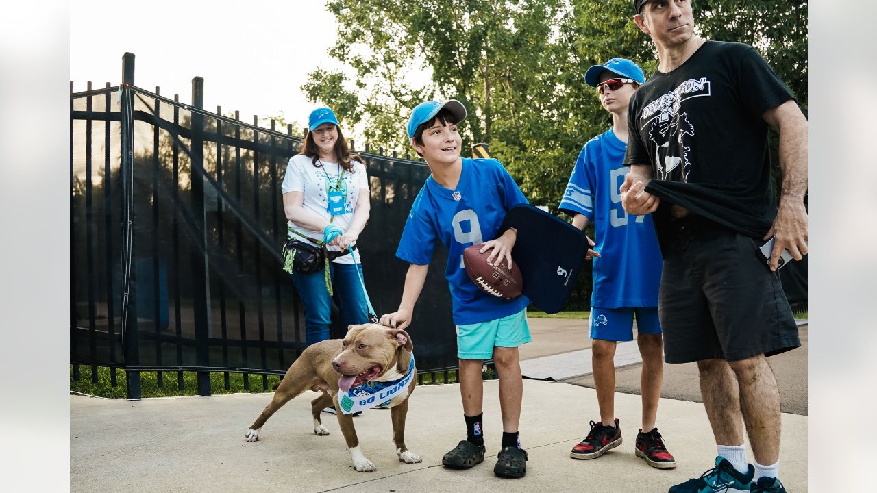 detroit lions pet gear