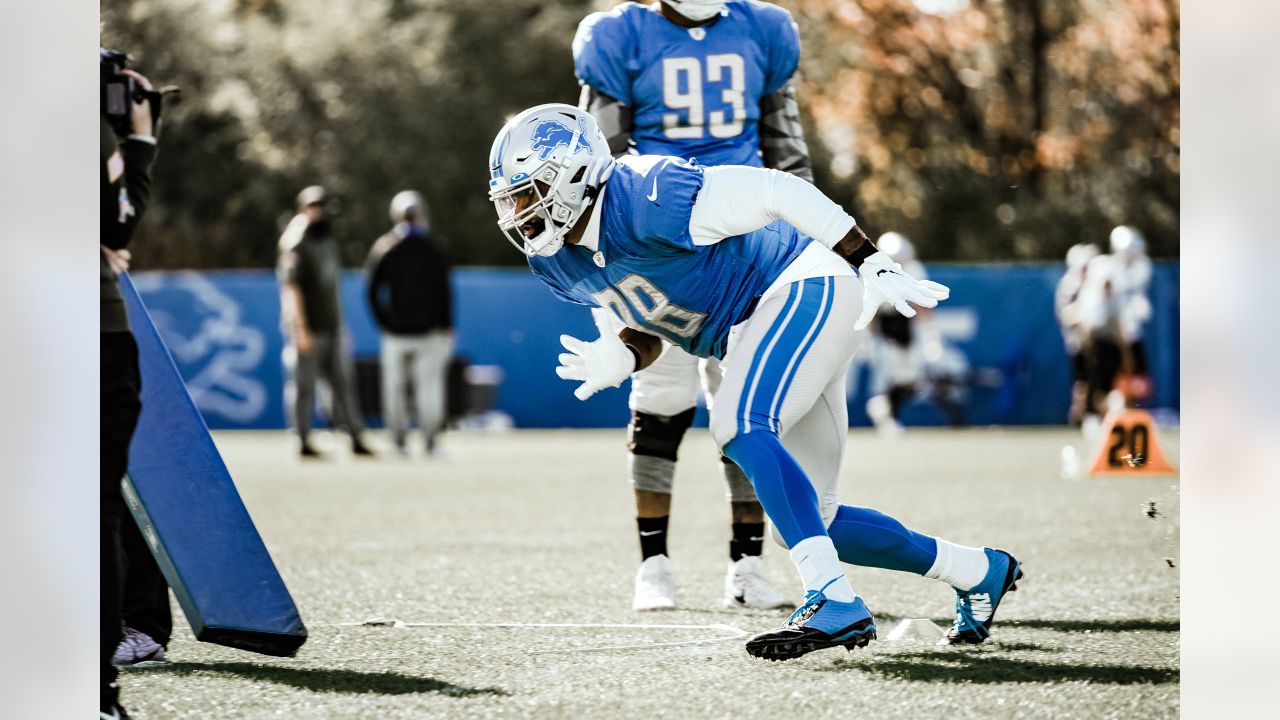 Meet new Detroit Lions defensive lineman Everson Griffen