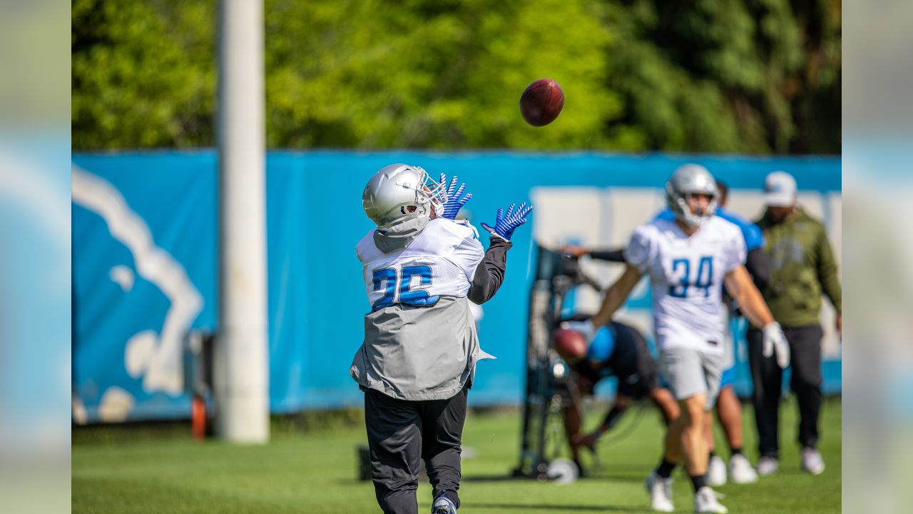 Running back C.J. Anderson agrees to terms with Detroit Lions - Los Angeles  Times