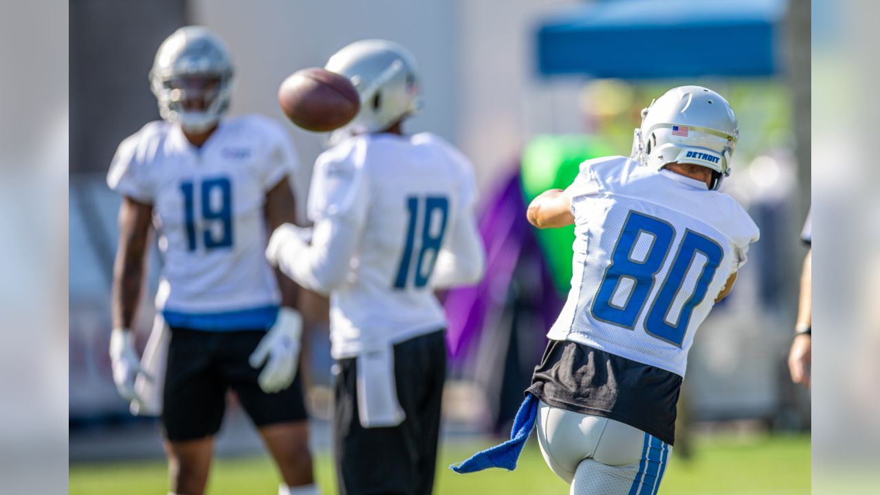 Lions wide receiver Danny Amendola makes a critical catch - Gold Medal  Impressions