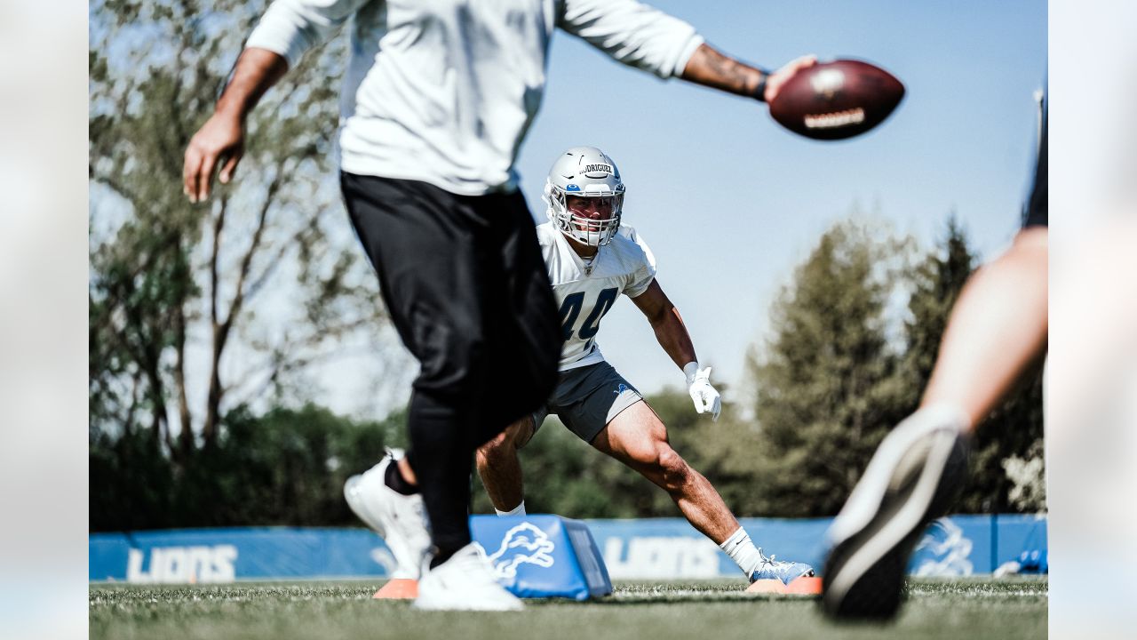 Detroit Lions linebacker Malcolm Rodriguez (44) pursues a play on