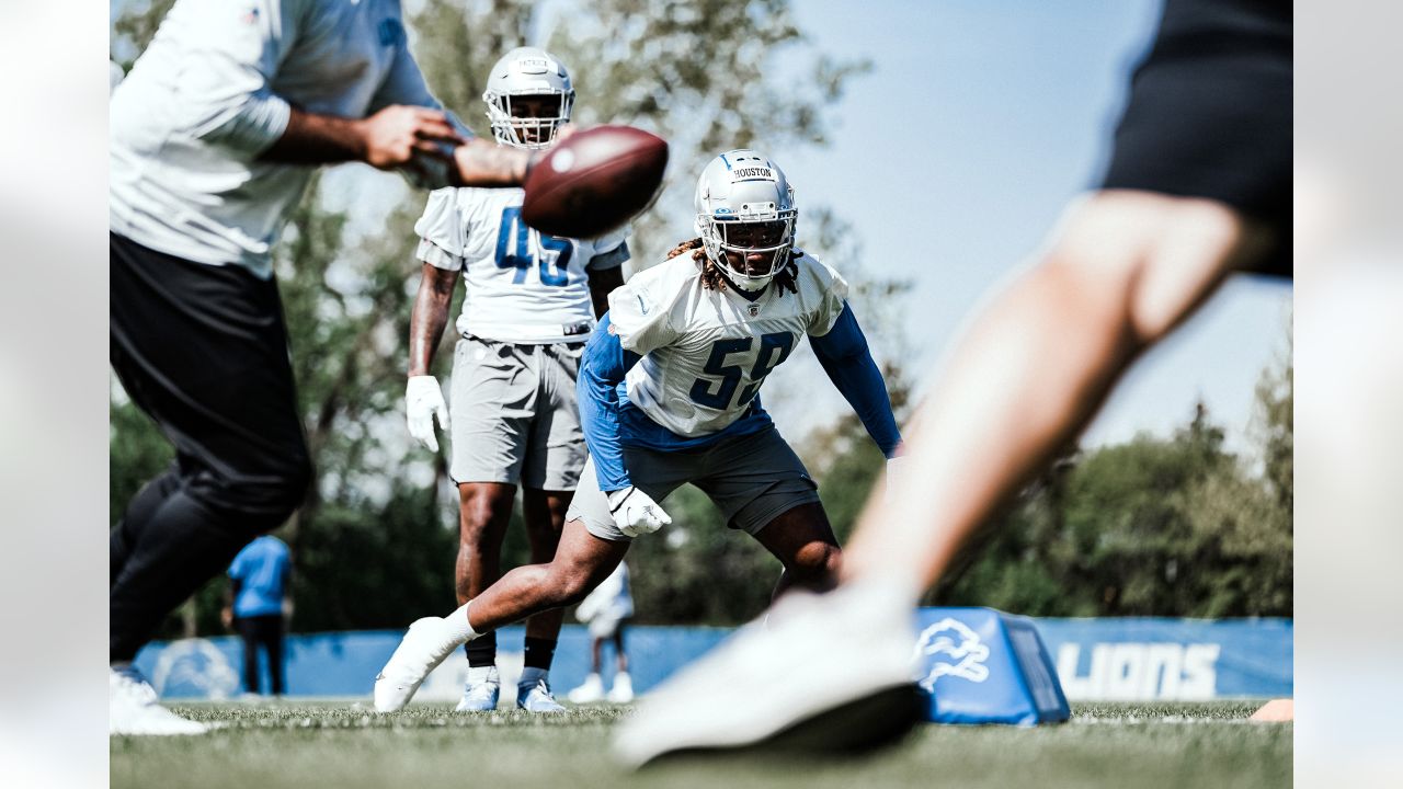 Detroit Lions linebacker Malcolm Rodriguez (44) pursues a play on defense  against the Miami Dolphins during an NFL football game, Sunday, Oct. 30,  2022, in Detroit. (AP Photo/Rick Osentoski Stock Photo - Alamy