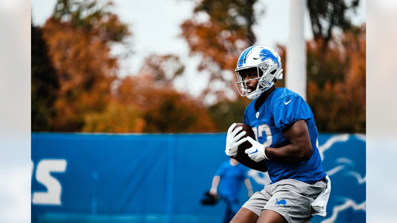 Detroit Lions rookie TE James Mitchell expected to make debut vs. Seattle  Seahawks