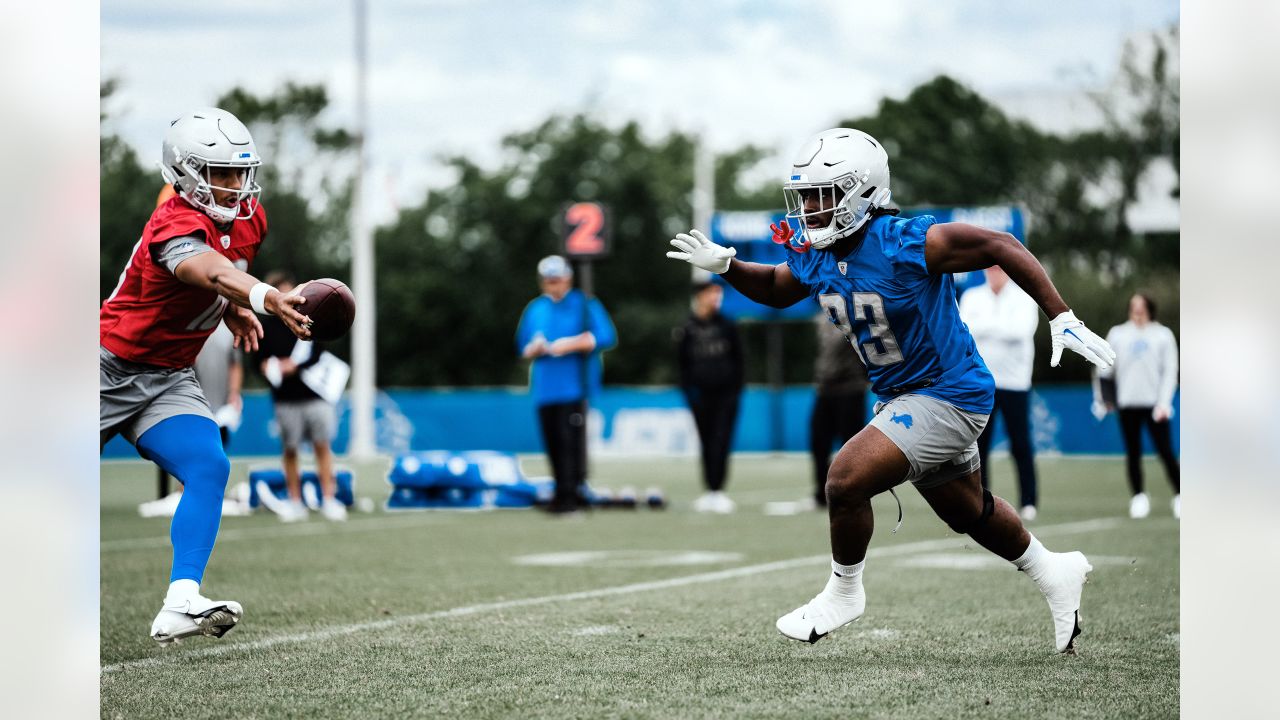 DL Brodric Martin enjoying rookie experience with Detroit Lions: 'I haven't  frowned one time'