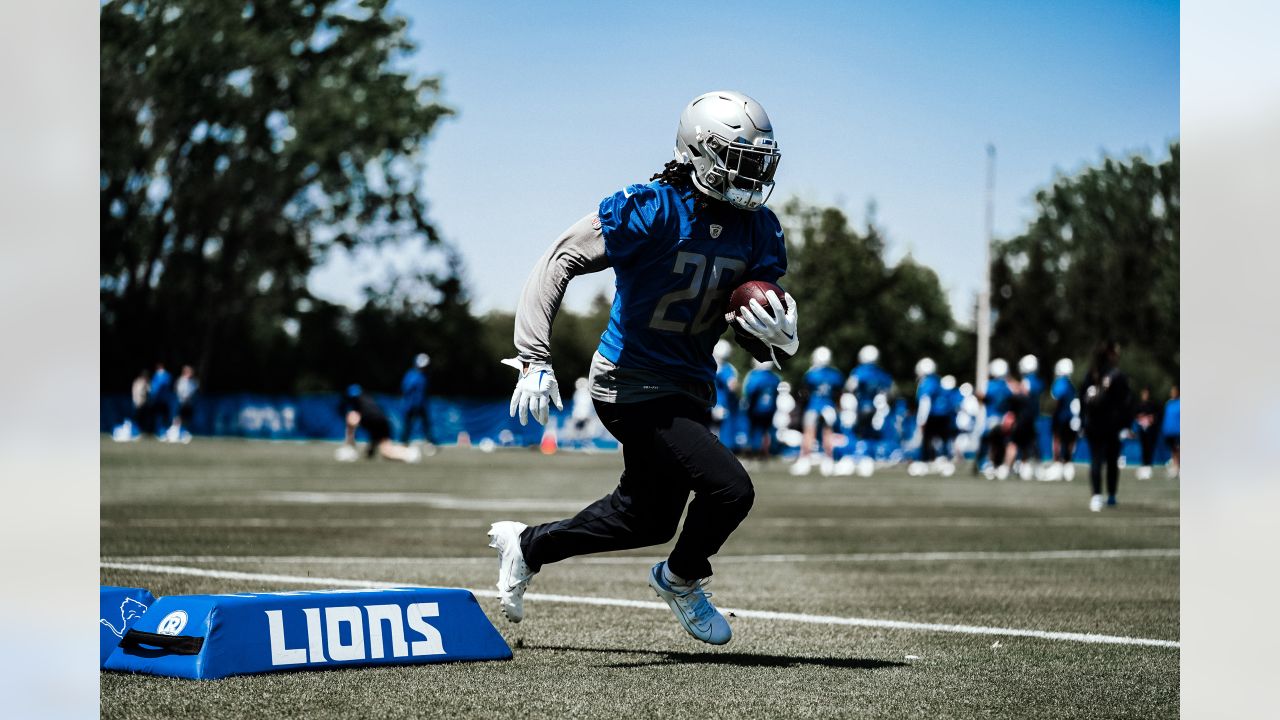 Lions' Aidan Hutchinson more comfortable entering second season – Lions  Lowdown