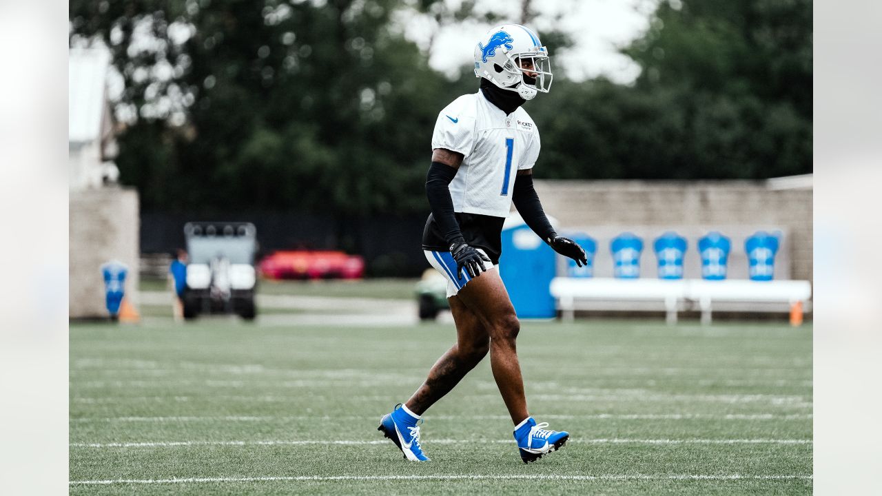 THE DAILY DRIVE: Detroit Lions rookie Brodric Martin understands what he  needs to do to see action in season opener