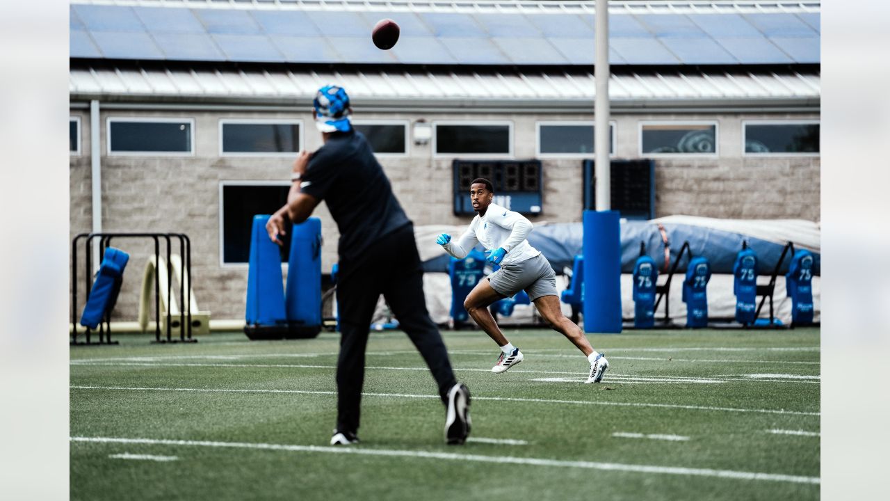 Lions DL coach Todd Wash: Alim McNeill is 'better than I thought' - Pride  Of Detroit