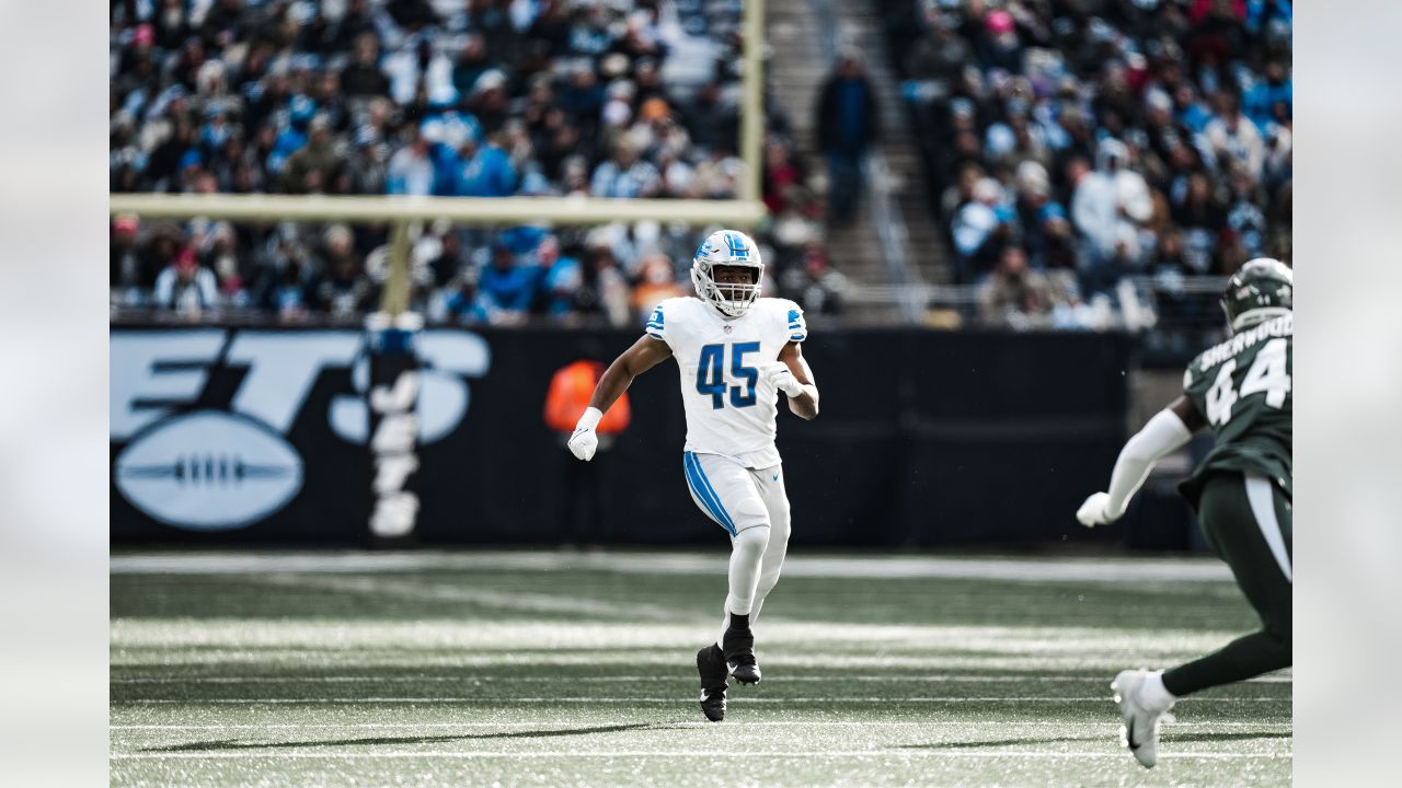 2022 Detroit Lions position breakdown: Tight ends