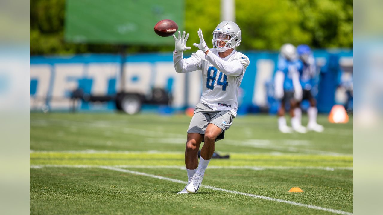 Can Travis Fulgham crack the Detroit Lions 53-man roster?