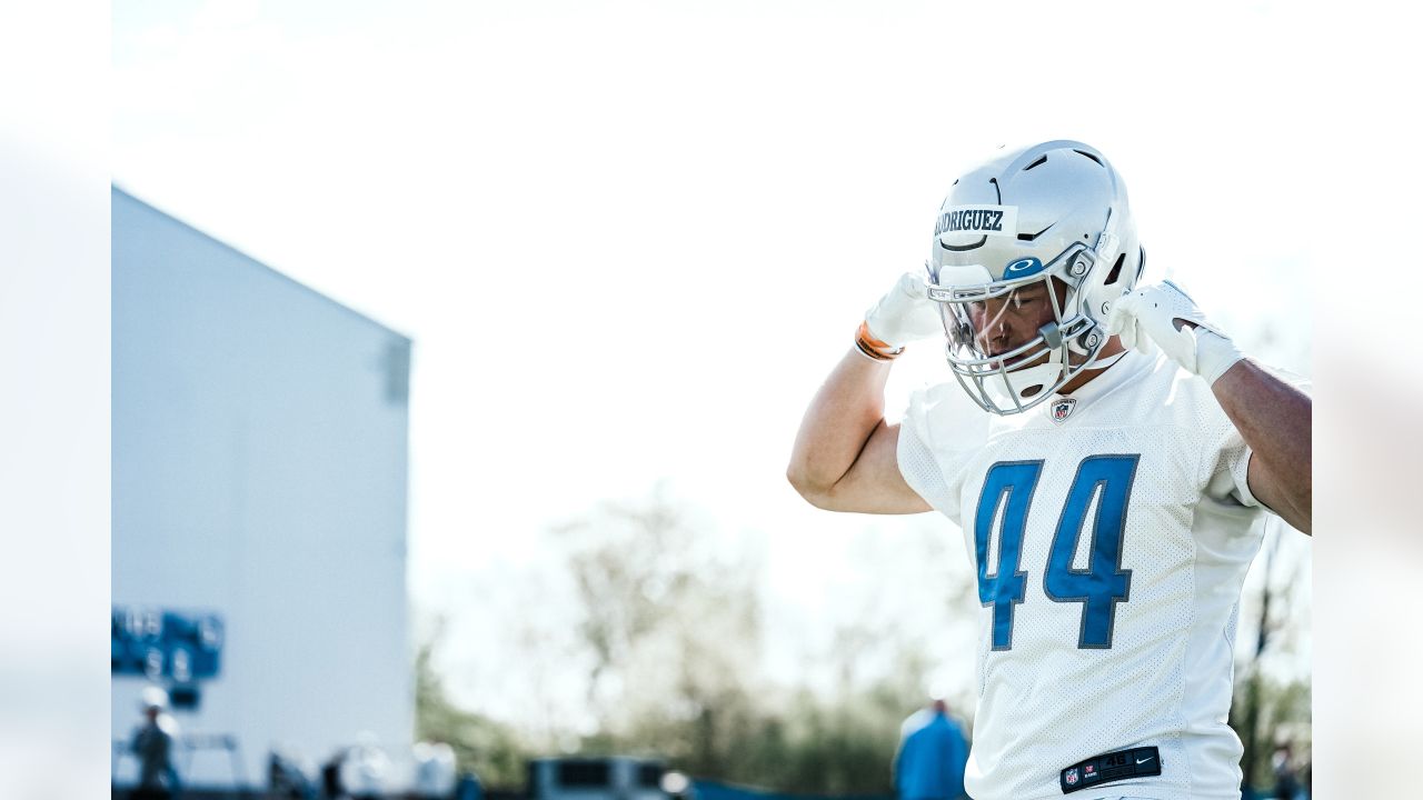 Arrows up' on Detroit Lions rookie linebacker Malcolm Rodriguez