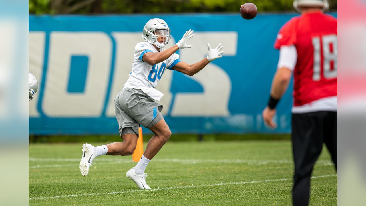 Can Travis Fulgham crack the Detroit Lions 53-man roster?