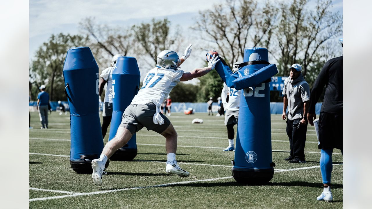 Lions camp observations: All aboard the Malcolm Rodriguez bandwagon