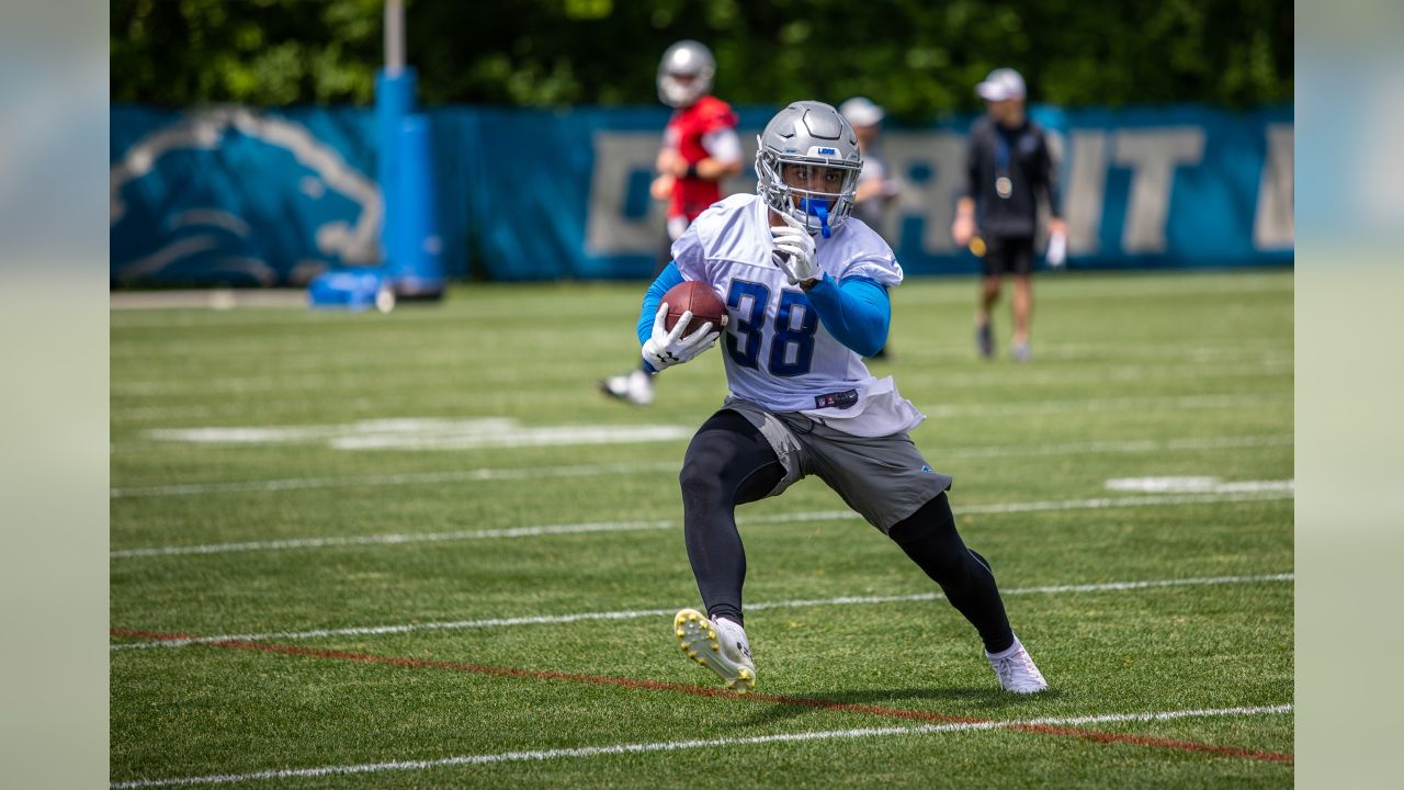 Detroit Lions running back Ty Johnson (38) runs the ball during an NFL  preseason football game against the New England Patriots in Detroit,  Friday, Aug. 9, 2019. (AP Photo/Paul Sancya Stock Photo - Alamy