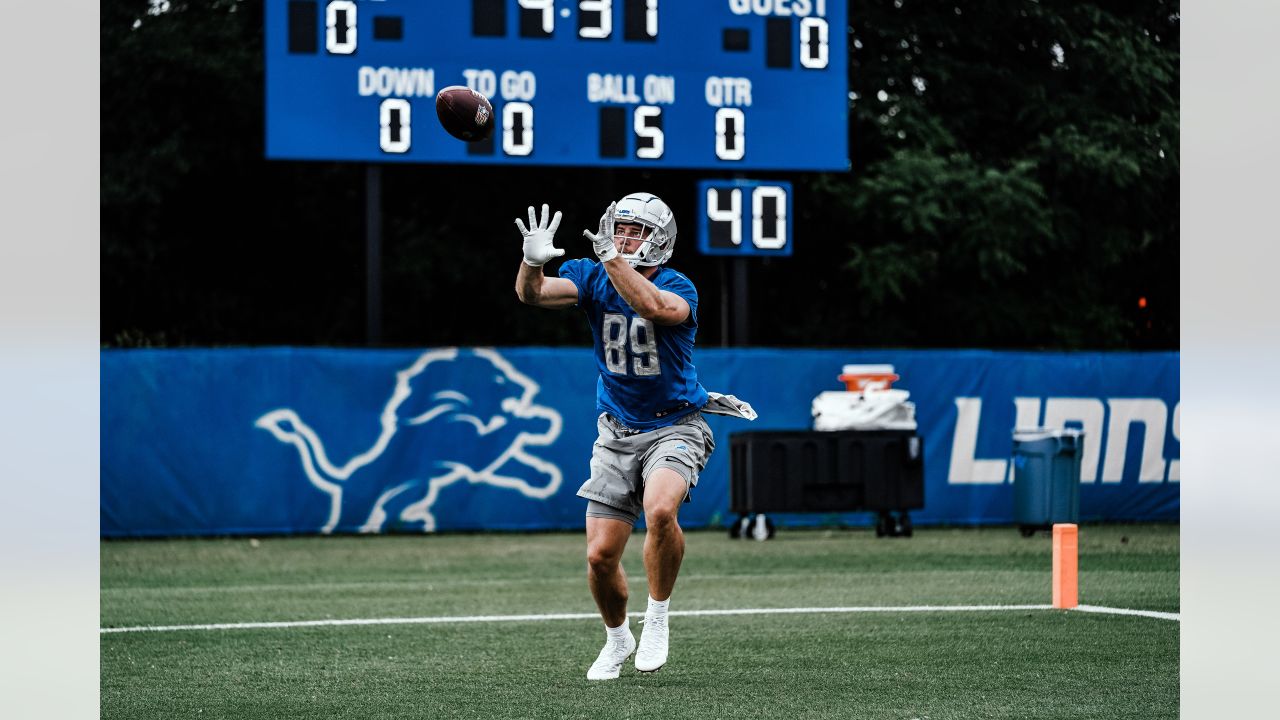 Detroit Lions tight end Brock Wright's 17-yard catch and run comes JUST  short of end zone