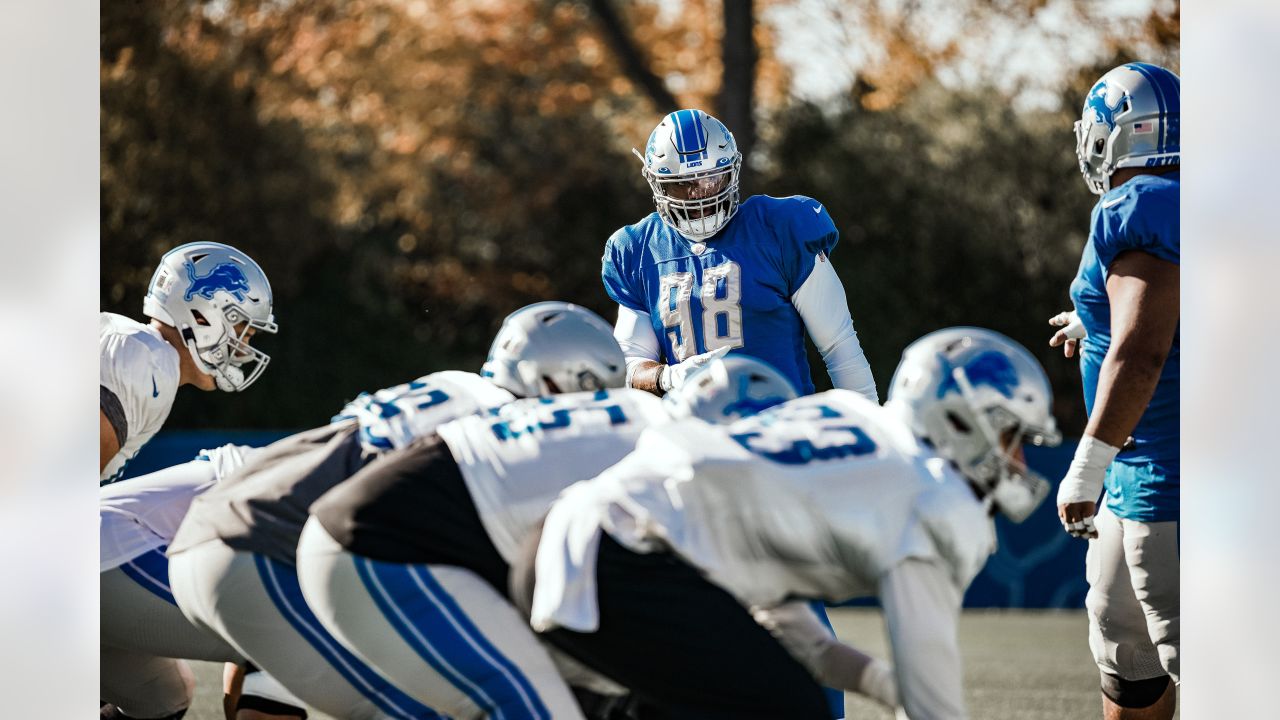 Meet new Detroit Lions defensive lineman Everson Griffen