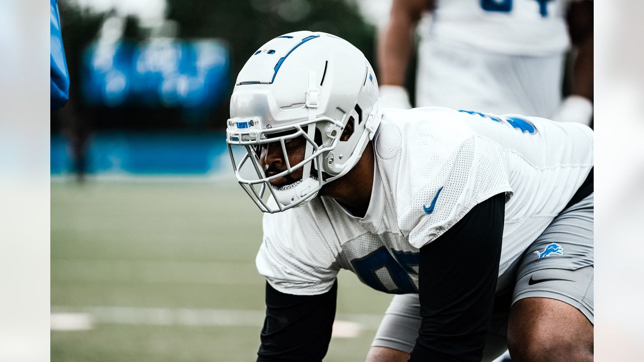 Detroit Lions 2022 review: Defensive line shows promise through many bumps  