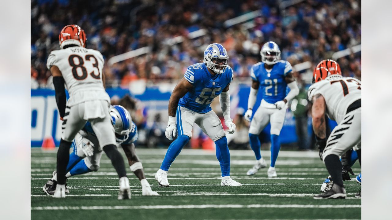 The history of Detroit Lions vs. Cincinnati Bengals - Pride Of Detroit