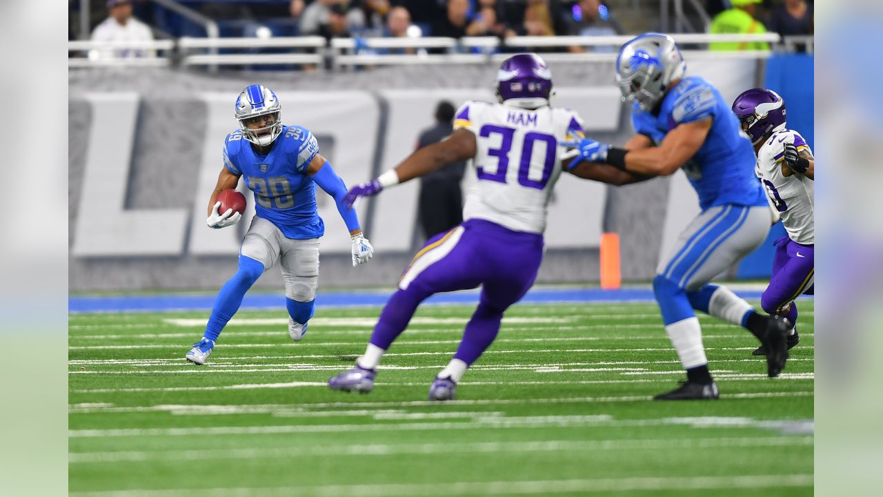 11442 Vikings V Lions Stock Photos, High-Res Pictures, and Images