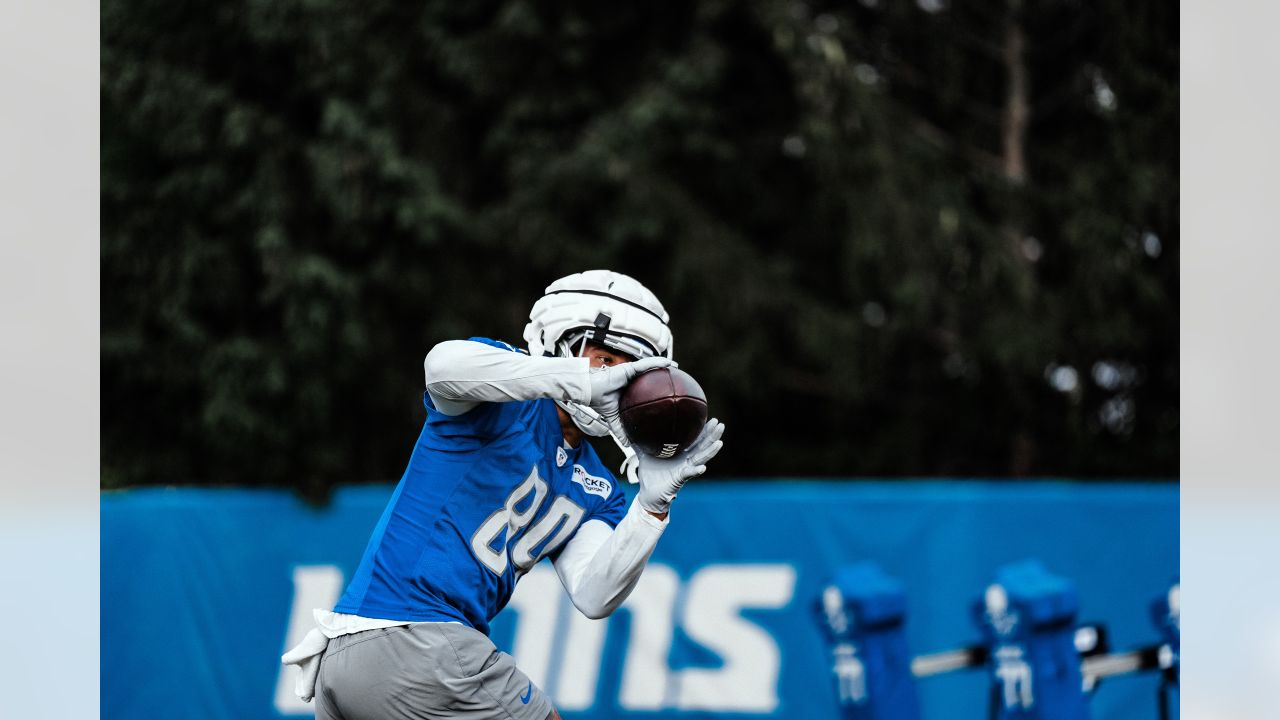 Day 8 at Detroit Lions Training Camp: Mix Bag for Jamo's 1st Day