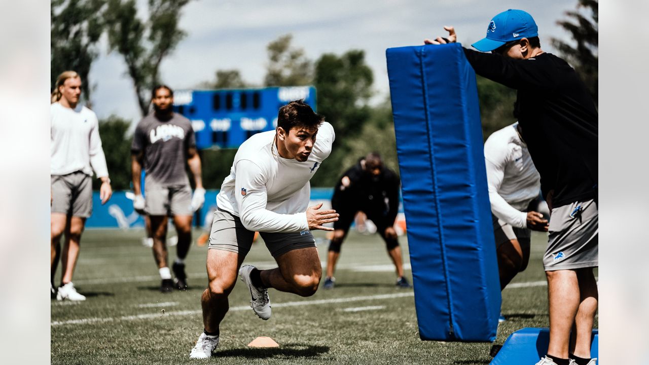 Detroit Lions linebacker Malcolm Rodriguez (44) gets set on