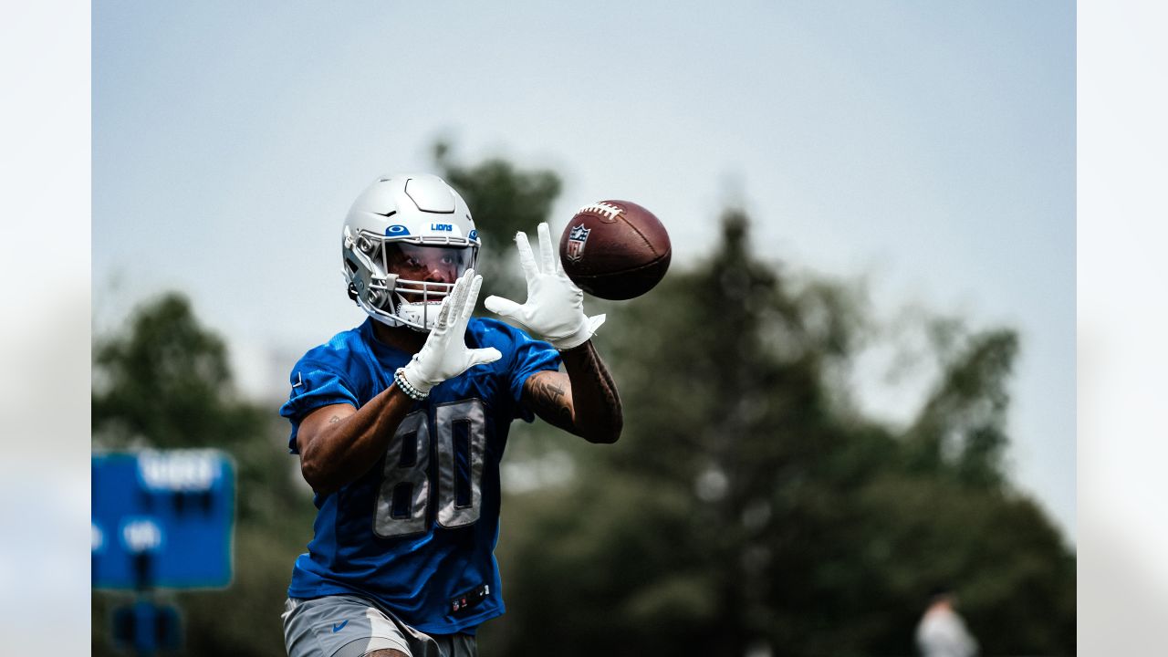 Detroit Lions: Calvin Johnson wanted to be drafted by hometown Falcons