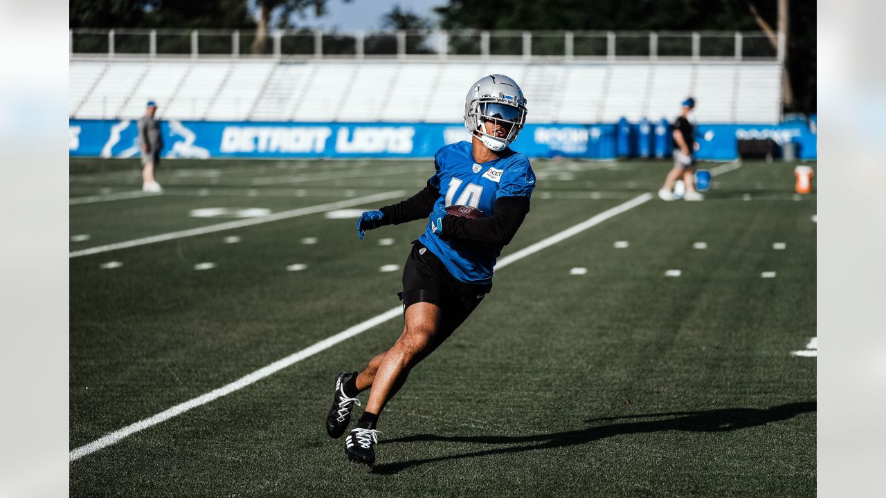 Detroit Lions  Allen Park MI