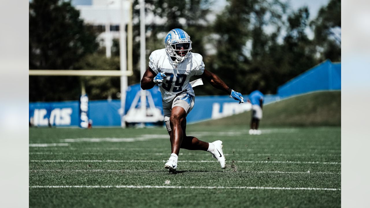 Detroit Lions on X: For Women's History Month, the #Lions honor the women  who have carved out their respective spaces in the world of sports. Join us  in recognizing and celebrating the