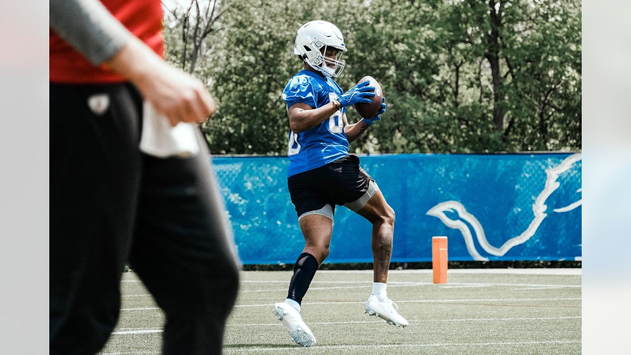 Detroit Lions rookie WR Antoine Green 'can immediately contribute