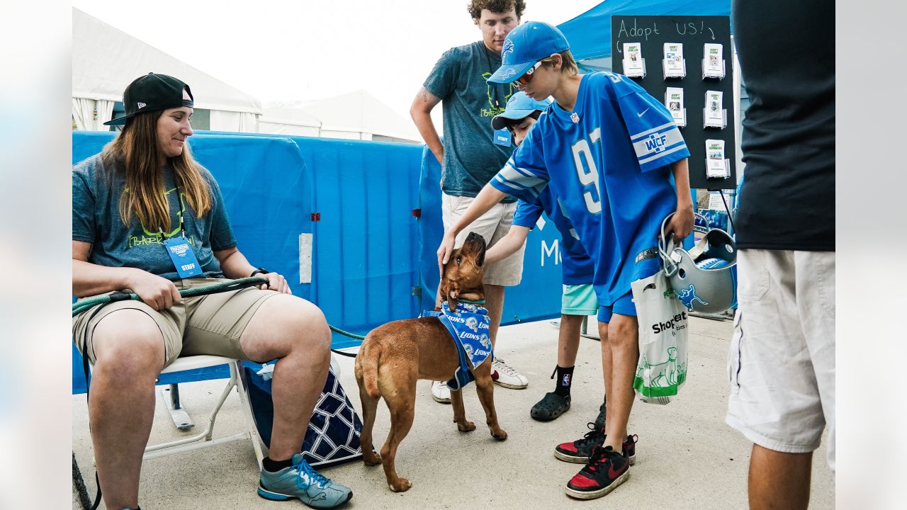 Detroit Lions on X: It's National Pet Day! Show us a pic of your pet in  their #Lions gear for a chance to win a @petsuppliesplus gift card! 