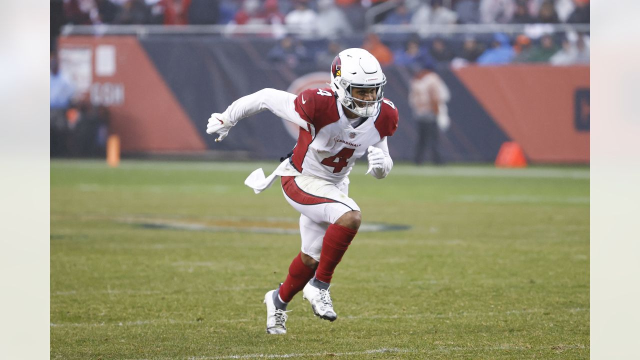 11-16-11: Arizona Cardinals Bird Droppings - Fitz Wins Awards