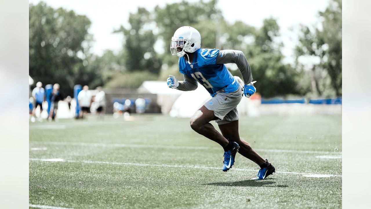 Detroit Lions 2022 training camp preview: Tight end