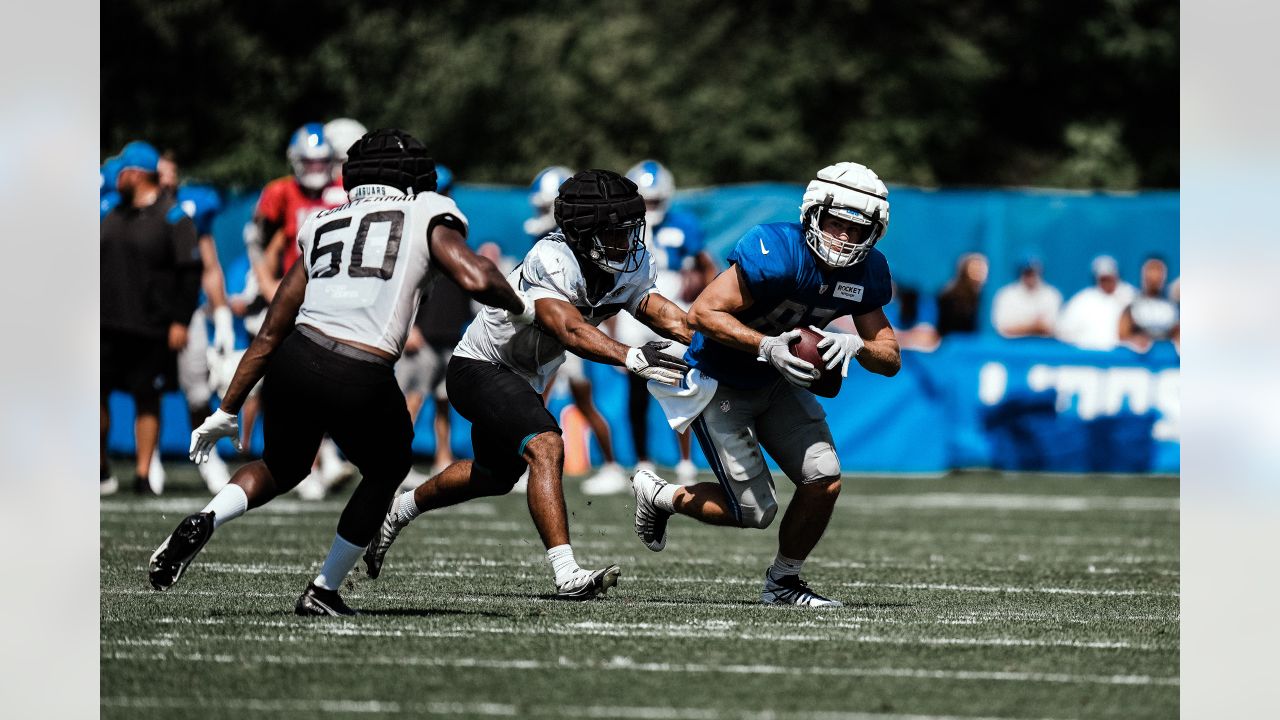 Lions WR Jameson Williams has another setback, likely out for preseason  with hamstring injury Detroit News - Bally Sports