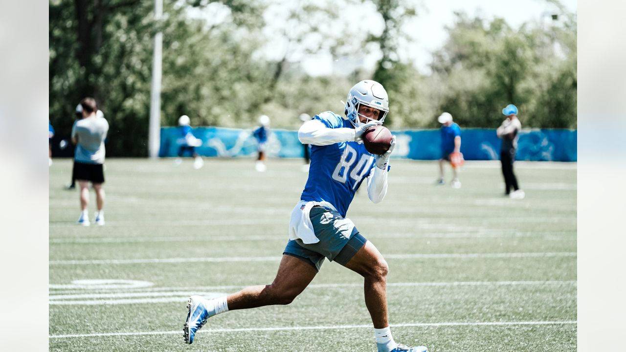 Detroit Lions tight ends on the cusp of a franchise record - Detroit Sports  Nation