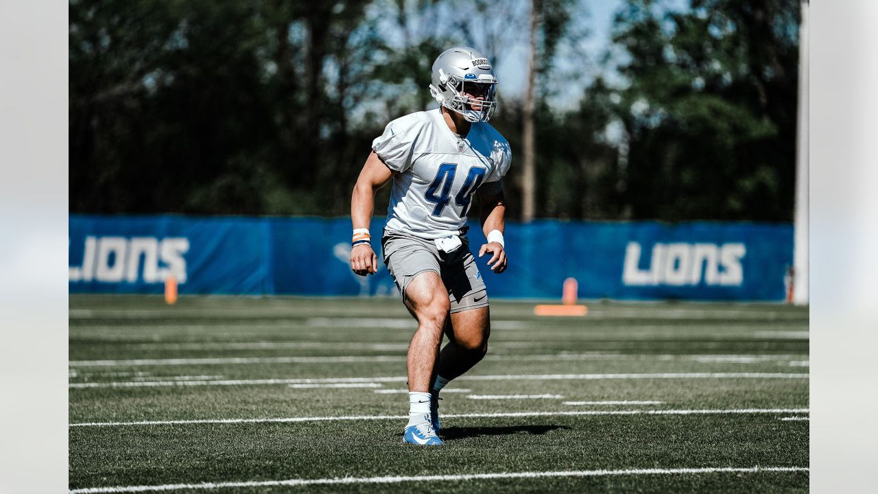 Detroit Lions linebacker Malcolm Rodriguez (44) during an NFL