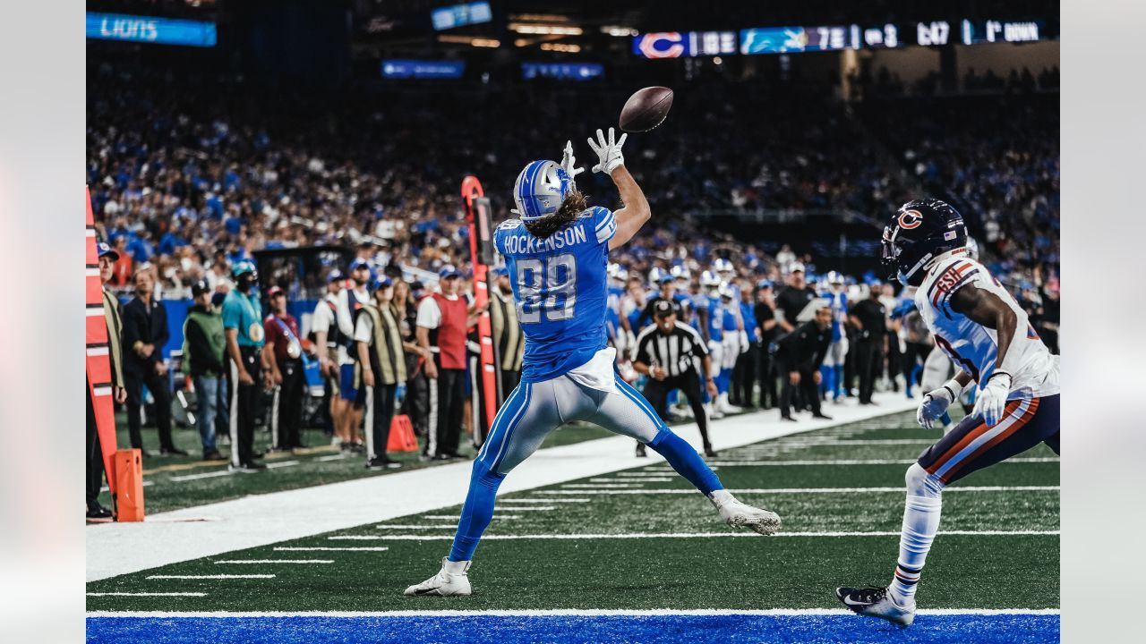 Photo: Detroit Lions vs Chicago Bears in Chicago - CHI20201206118