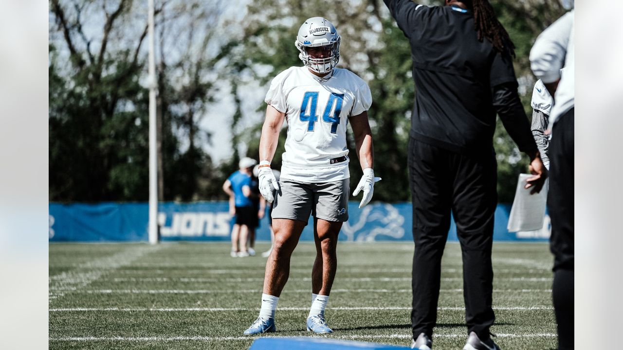 Detroit Lions linebacker Malcolm Rodriguez (44) pursues a play on defense  against the Miami Dolphins during an NFL football game, Sunday, Oct. 30,  2022, in Detroit. (AP Photo/Rick Osentoski Stock Photo - Alamy