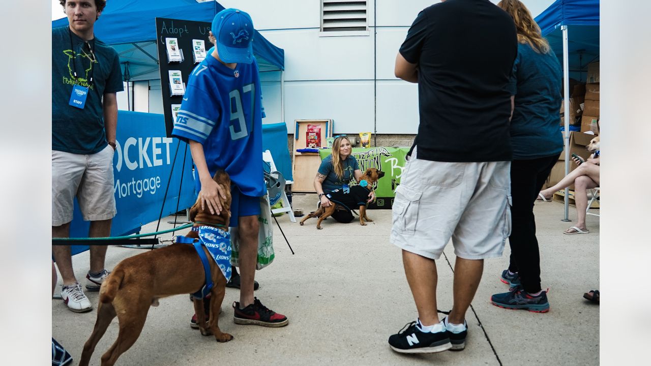 Detroit Lions on X: It's National Pet Day! Show us a pic of your pet in  their #Lions gear for a chance to win a @petsuppliesplus gift card! 