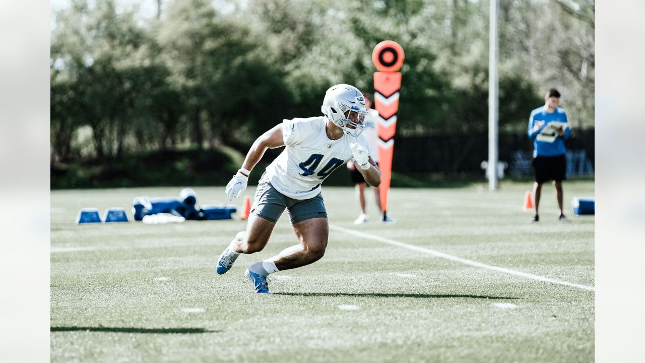 Detroit Lions linebacker Malcolm Rodriguez (44) pursues a play on