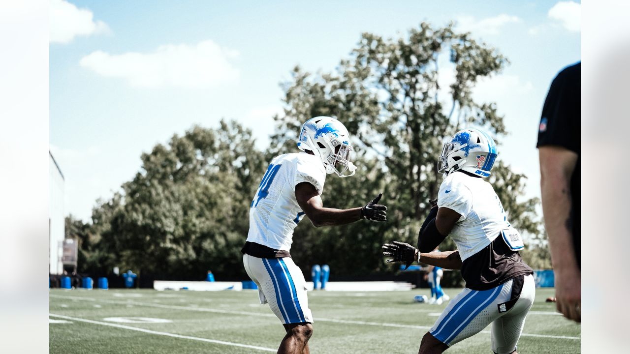 LionsFanReport on X: The Lions rookies looking good in the Honolulu Blue!  #OnePride  / X