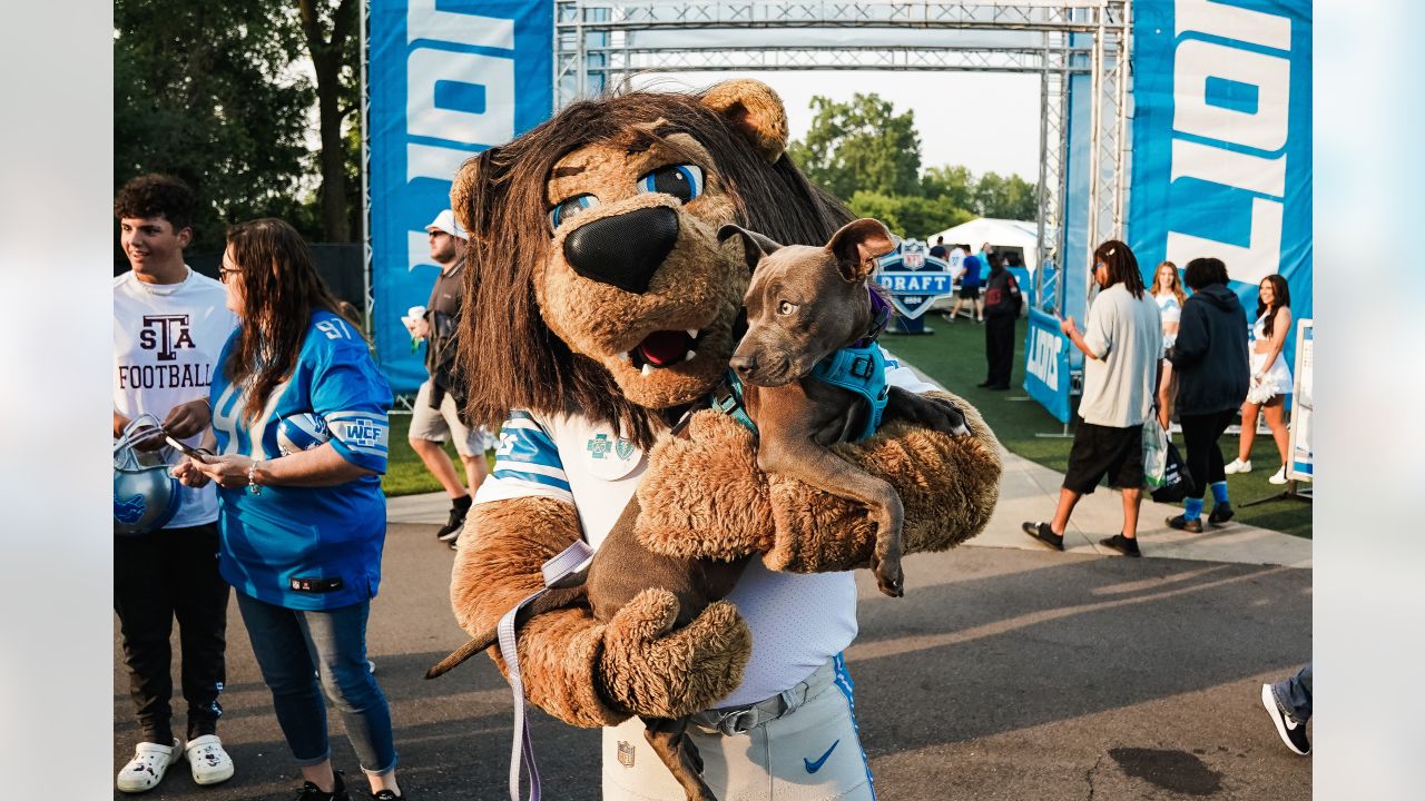 Detroit Lions Mascot Dog's Costume