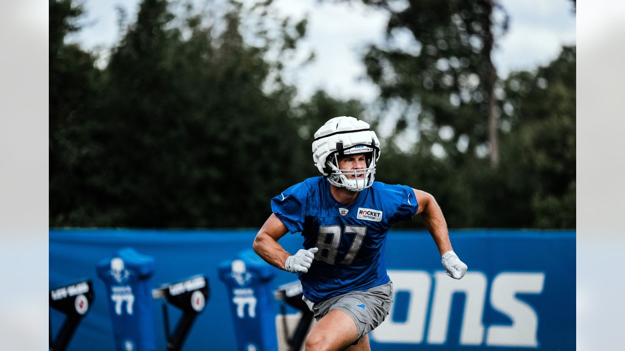 Detroit Lions safety Brian Branch (32) in action during an NFL