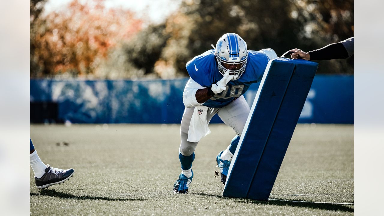 Meet new Detroit Lions defensive lineman Everson Griffen