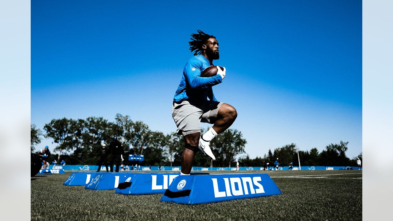 Offseason In Review: Detroit Lions