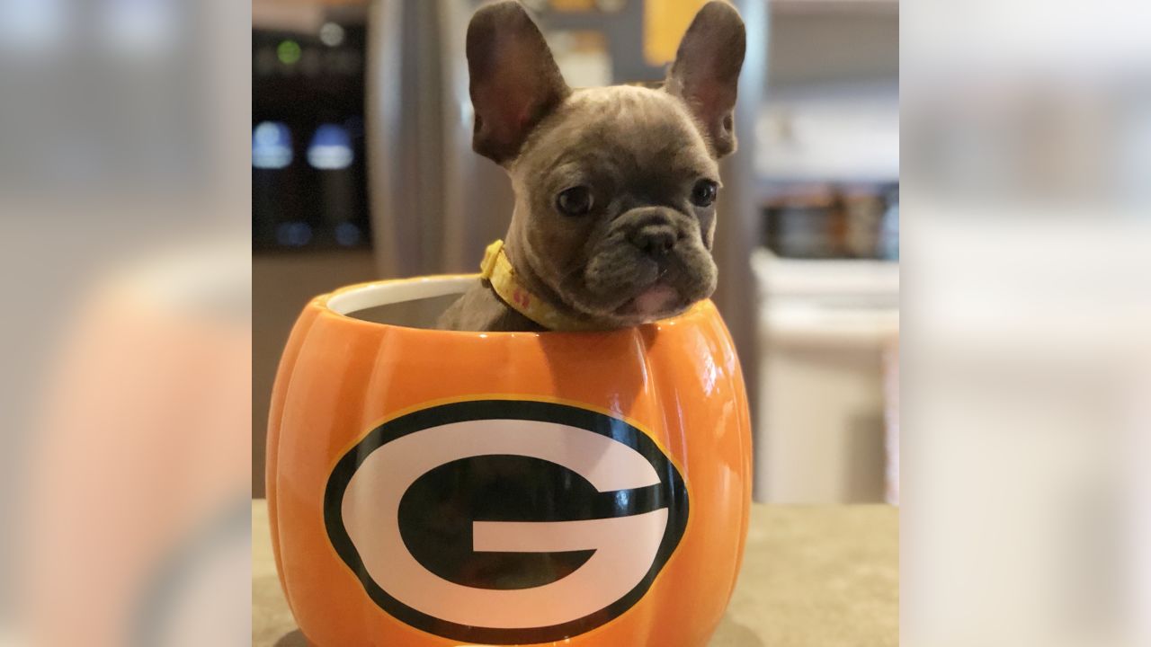 Packers pets