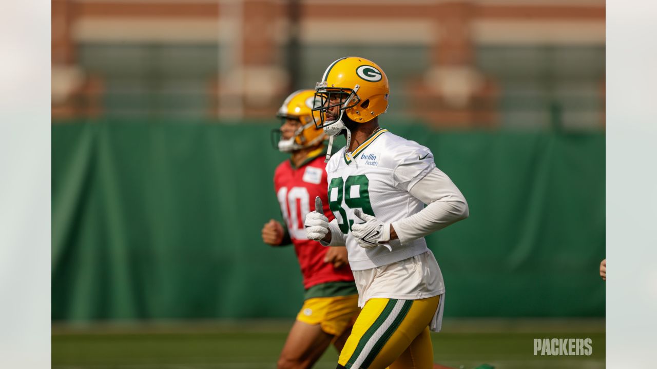 Green Bay Packers: Additions of Ervin & Veldheer have Huge Impacts